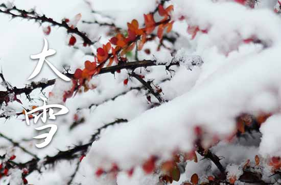 大雪节气祝福语精选15篇
