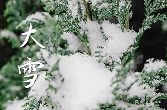 关于大雪节气祝福语15篇