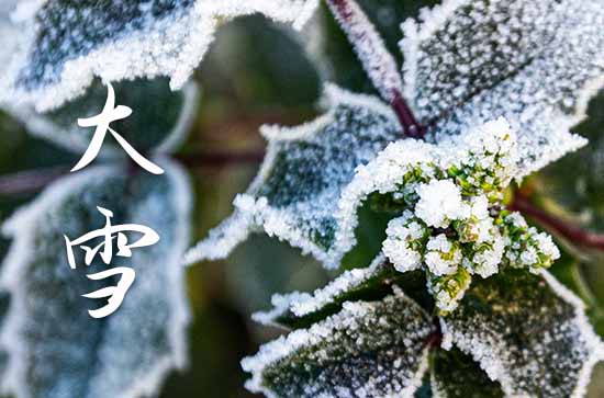 大雪节气温暖祝福语