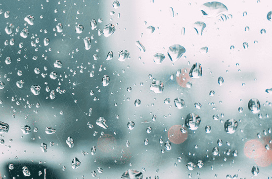 谷雨火爆全网的唯美句子大全
