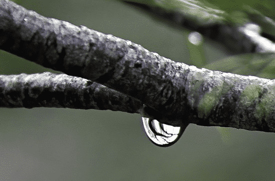 谷雨节气干净经典句子80句