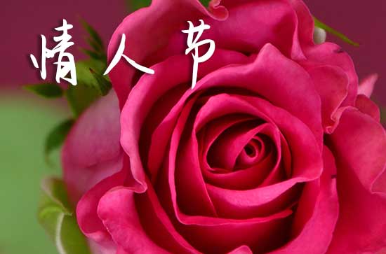 2024情人节祝福语简短