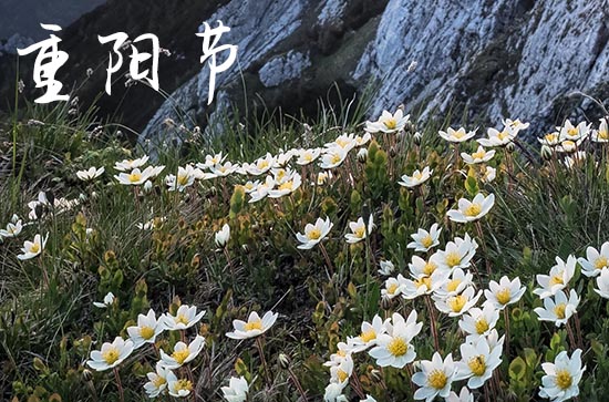 2023重阳节是几月几日