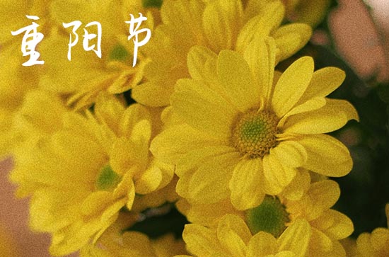 2023年重阳节是几月几日